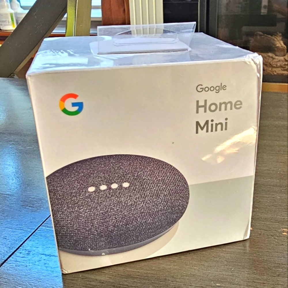 Google Mini